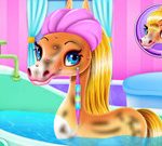 Rainbow Pony Magnificence Salon