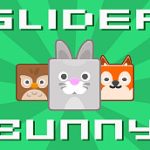Slider Bunny