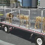 Animal Zoo Transporter Truck Driving Recreation 3D