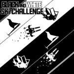 Black & White Ski Downside