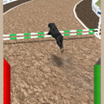 Canine Racing Simulator