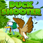 Duck Shooter Recreation