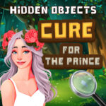 Hidden Objects Remedy For The Prince