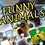 Jigsaw Puzzle Humorous Animals