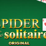Spider Solitaire Distinctive