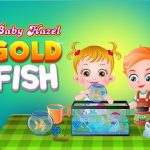 Youngster Hazel Goldfish