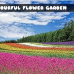 Vibrant Flower Backyard Jigsaw