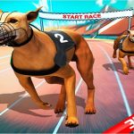 Loopy Canine Race
