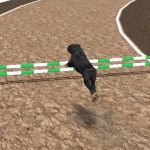 Crazy Precise Canine Race