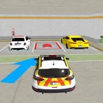 Actual Automobile Parking Basement Driving Faculty Simulator