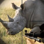 Rhino Hunter Capturing Strike