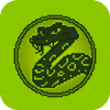 Primary Snake HTML5